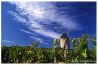 Moulin à Vent