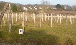 Chanteloup les Vignes