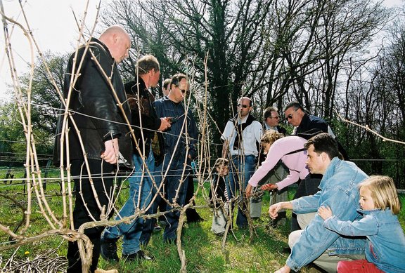 Stage Mes Vignes