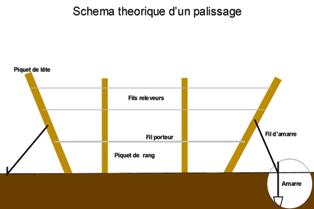 Schéma palissage